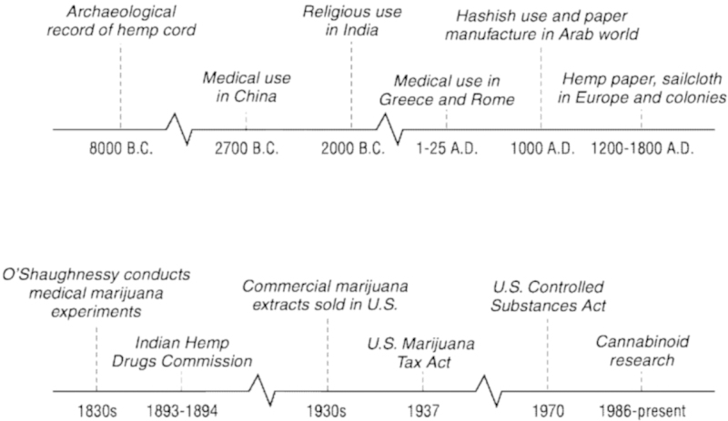 medical-marijuana-timeline.jpg