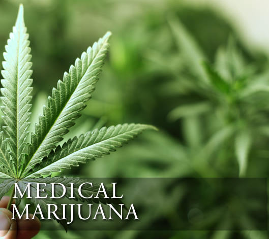Komorn Law- Michigan State Police Return Medical Marijuana to Patient