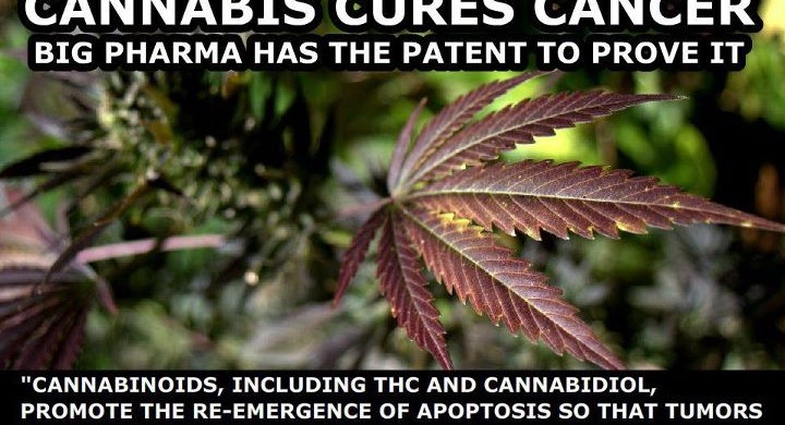 Cannabis Science Publishes List of Over 800 Peer-Reviewed Cannabis and Cancer Scientific References