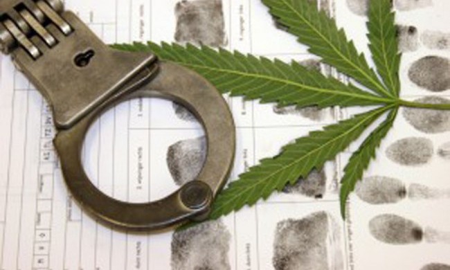 Detroit police make arrests at marijuana dispensary