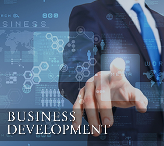 Cannabis Business Development