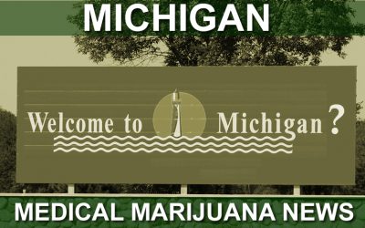 Michigan Marijuana Legalization Initiative 2016