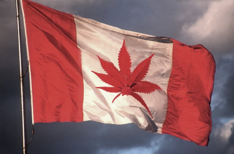 Canada is the second nation in the world to legalize marijuana