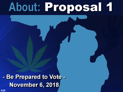 about-michigan-proposal-1