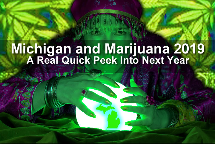 2019 Michigan and Marijuana A Quick Peek
