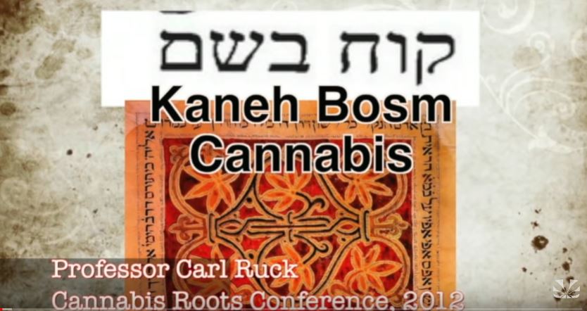 Kaneh Bosm: The Hidden Story of Cannabis in the Old Testament