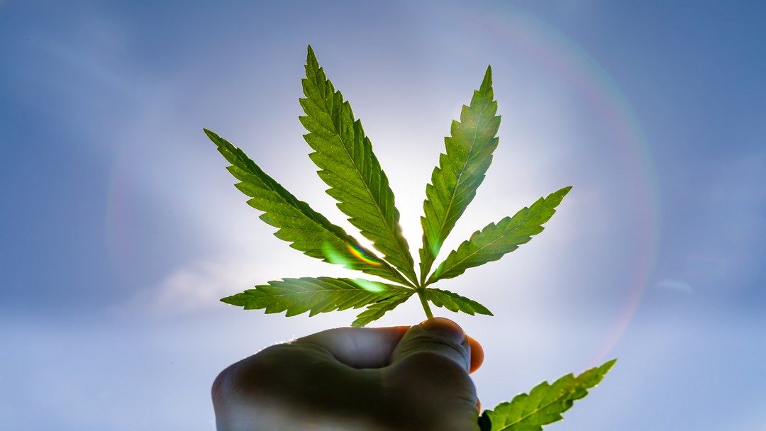 Michigan cities opting out of recreational marijuana
