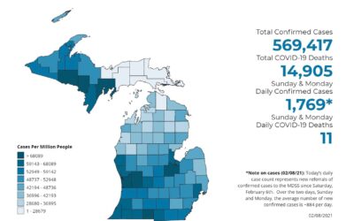 Michigan Covid Stats Feb 8, 2021