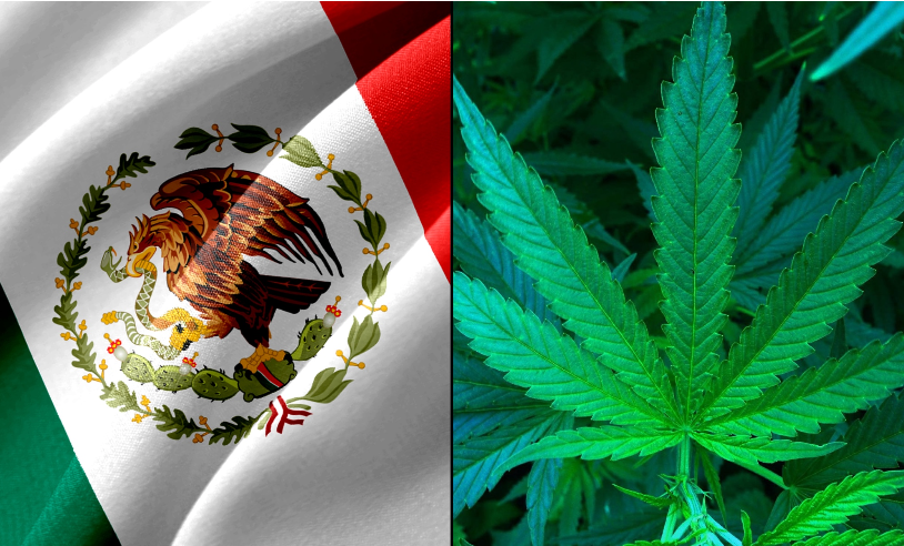 Lawmakers in Mexico Fail To Legalize Marijuana Ahead Of Deadline