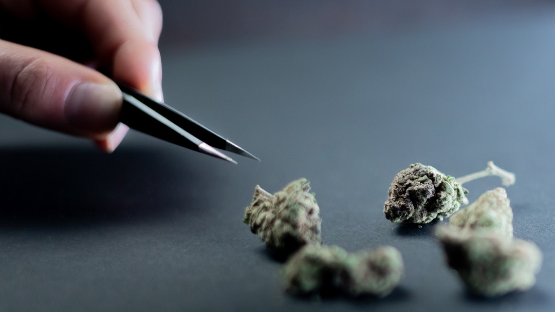 Testing Lab Sues Marijuana Regulatory Agency Over Recall