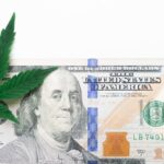 Michigan Cannabis Sales Break Records