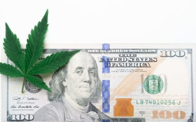 Michigan Marijuana Sales Exceed $221 Million In December 2022