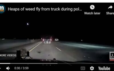 Stolen Cannabis flies from a stolen truck during police chase after Bay County marijuana store heist