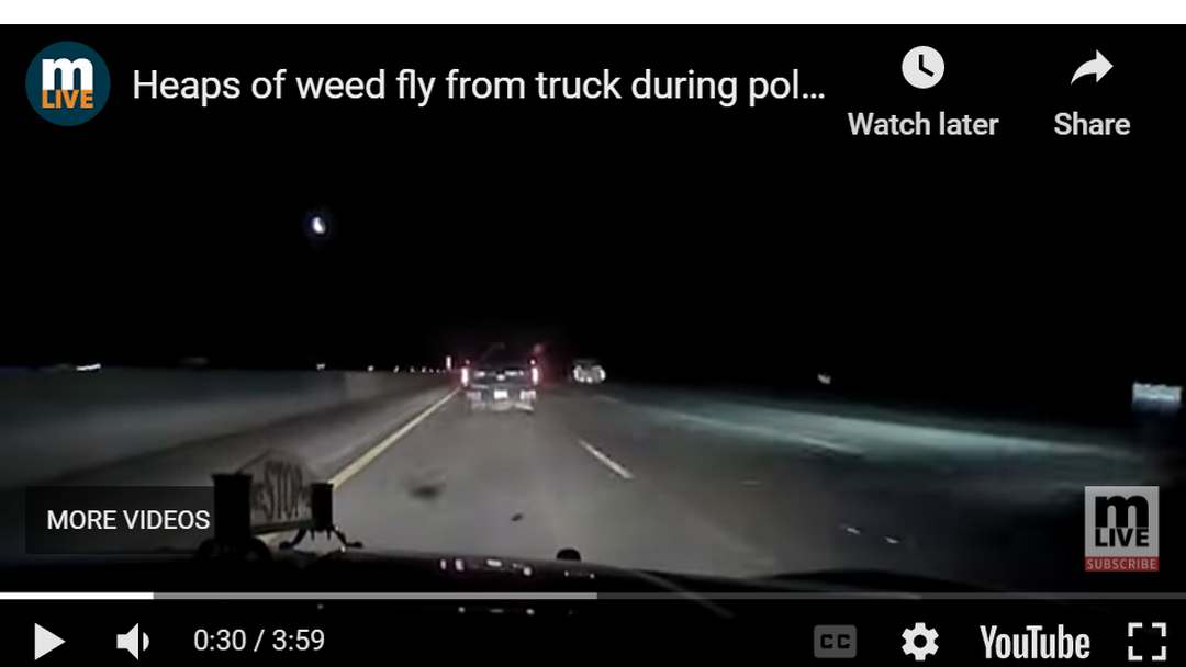 MLive - Cannabis flies from a pickup chased by MSP