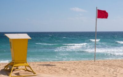 MSC Adopts New Red Flag Rules for Extreme Risk Protection Orders