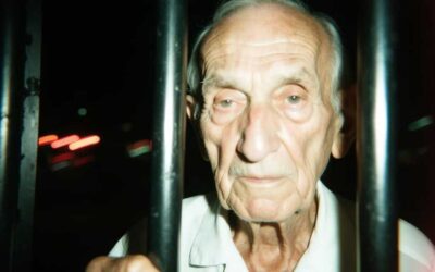 People v. Lukity, 460 Mich 484 (1999)