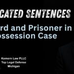 People v. Brcic (Michigan Court of Appeals)- Legal Defense - Michigan